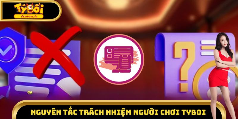 Nguyên tắc trách nhiệm người chơi Tyboi