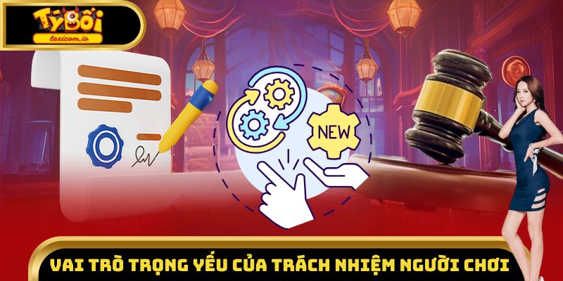 Vai trò trọng yếu của trách nhiệm người chơi Tyboi